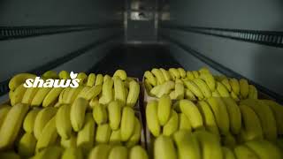 Every detail matters so you can enjoy ripe bananas everyday Shop fresh produce at your local store [upl. by Leizar]