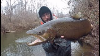 Fishing Small Creeks for The Biggest Trout Ive Ever Seen [upl. by Milano]