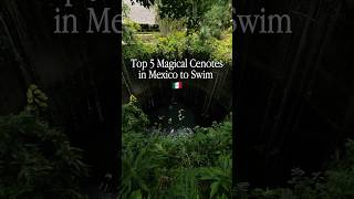 Top 5 Magical Cenotes In Mexico to Swim🇲🇽mexico shortsfeed [upl. by Portwin829]