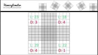 Hemocytometer calculation [upl. by Ajidahk]