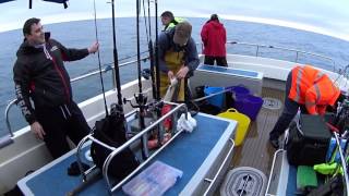 Fishing Trip Lyme Regis 07012017 [upl. by Hennebery]