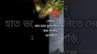 Niru Niruopoma  Nasrin Parvin Shana  Recited By Sharna amp Zahir  Sad Bangla Chat  Duo  ZH NOOK [upl. by Enaoj]