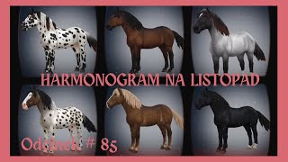 HARMONOGRAM NA LISTOPAD  NORIKERY  NOWE KONIE  odc85 sso starstableonline starstable [upl. by Halehs]