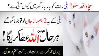 Billi Ke 2 Raaz Jo Har Dua Ko Qabool Karne Mein Madadgar Hain  Daulat Mein Hamesha Barkat Ka Raaz [upl. by Azpurua263]