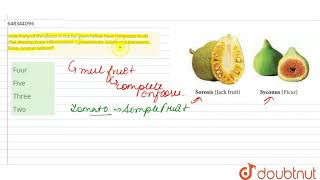 How many of the plants in the list given below have composite fruits that develop from inflores [upl. by Forcier]