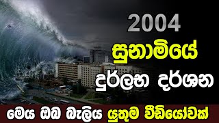 2004 සුනාමි ව්‍යසනය2004 Tsunami Sri LankaSri Lanka Army Special ForcesVelupillai Prabakaran [upl. by Naujek124]