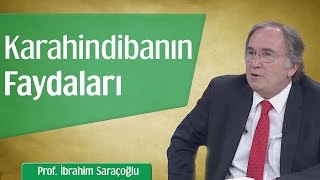 Karahindibanın Mucizevi Faydaları  Prof İbrahim Saraçoğlu [upl. by Mages]