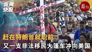 又一支非法移民大篷车从墨西哥南部向美国出发 [upl. by Suirauqed]