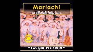 Cocula  Mariachi  Las Que Pegaron [upl. by Naman361]