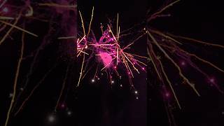 100mm Zylinderbombe JGWB Scala 8 Crackling Violett  Farfalle fireworks firework feuerwerk jgwb [upl. by Aloivaf]