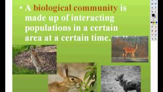 principles of ecology [upl. by Huldah]