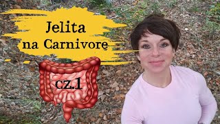 Jelita na Carnivore cz1 WZJG i choroba LC Badanie naukowe [upl. by Anelav]