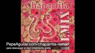 Pepe Aguilar  Chaparrita Sonidero Nacional Remix [upl. by Lashonda]