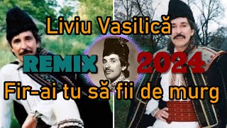 Liviu Vasilică  Firai tu să fii de murg  Remix 2024  Balkan Romania [upl. by Severen217]