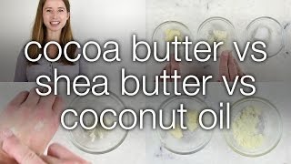 Cocoa Butter vs Shea Butter vs Coconut Oil How are they different [upl. by Mak965]