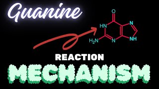 GuanineReaction Mechanism [upl. by Ateiram]