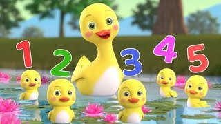 🦆 Five Little Ducks 🦆 Number Songs Nursery Rhymes  Baby Songs Newborn Baby Songs amp Nursery Rhymes [upl. by Akemyt]