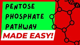 THE PENTOSE PHOSPHATE PATHWAY  MADE EASY [upl. by Olney]