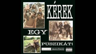 Animal Cannibals  Kérek egy puszikát Elektro instrumentál [upl. by Ahsatak]