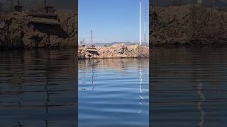 Slab City Hot Spring Water Bird Watching [upl. by Denna]