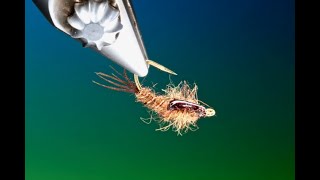 Fly Tying a March Brown nymph with Barry Ord Clarke [upl. by Tenay]