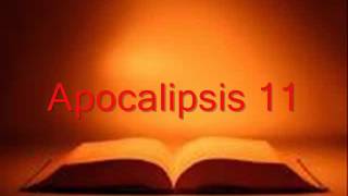 APOCALIPSIS completo Biblia hablada RV 1960 [upl. by Esylla]