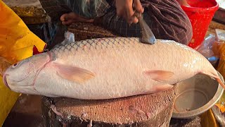 Amazing Cutting Skills  Big Mrigal Fish Cutting By Expert Fish Cutter [upl. by Kammerer140]