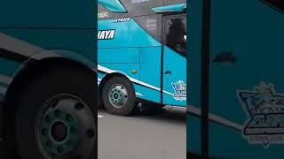 Basurinya mendem pun tetep asek busmania bismania telolet basuriv3 basuri [upl. by Ateloiv908]