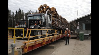 La chanson du camionneur chantée par lauteur [upl. by Teryl]