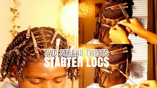 how to starter locs two strand twists method tutorial  Nylajaine [upl. by Naneek365]