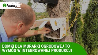 Domki dla murarki ogrodowej to wymóg w Integrowanej Produkcji  Farmerpl [upl. by Anilrats]