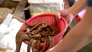 Inside a Chinese Seafood Market [upl. by Sondra]