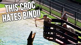 Croc Feeding Show With The Irwins At Australia Zoo [upl. by Chuipek]