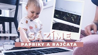 Sázíme papriky a rajčata  VLOG [upl. by Ferguson876]