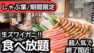 食べ放題！しゃぶ葉のカニ食べ放題！期間限定の人気ビュッフェで大食いしました！ [upl. by Ellehcram]