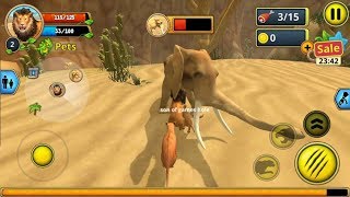 ► Ultimate Lion Simulator  3 Lion Hunting Elephant  Lion Family Sim Online Gameplay Video [upl. by Marcell46]