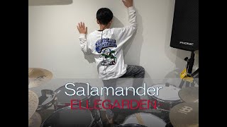 Salamander ELLEGARDEN フルVer小学6年生が叩きてみた！リクエスト曲です‼︎ [upl. by Aleris910]