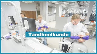 Bachelor in de tandheelkunde  Leuven  KU Leuven [upl. by Boles]