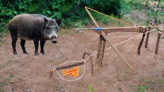 amazing Quick powerful wild boar pig trap make by long big knife trap that works100 2024 [upl. by Ruella]