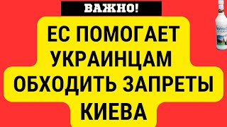 ЕВРОПА ЗАЩИЩАЕТ УКРАИНЦЕВ ОТ ЗАПРЕТОВ КИЕВА ЧЕХИЯ И НИДЕРЛАНДЫ ПОМОГАЮТ [upl. by Aihsenat]