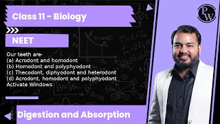 Our teeth are a Acrodont and homodont b Homodont and polyphyodont c Thecodont diphyodo [upl. by Yelnoc]