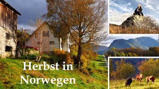 Unsere kleine Farm im Herbst  Tägliches langsames Leben am See in den Bergen in Norwegen 7 [upl. by Aiduan649]