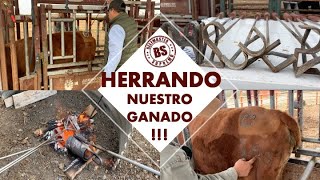 ¡¡¡ HERRANDO NUESTRO GANADO  BEEFMASTER SUPREMO EPISODIO 26 [upl. by Bigford]