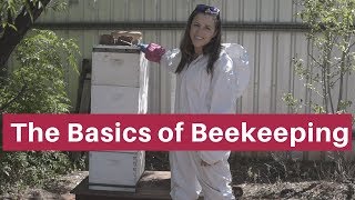 Beekeeping for beginners The absolute basics [upl. by Kayla817]