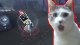 Gato vs seizure seer  Identity V Hardcore [upl. by Pascoe708]