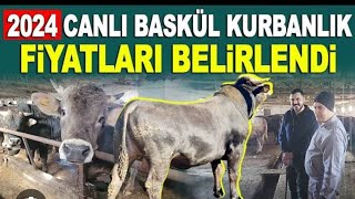 KURBANLIKLARIMIZ GELDİ2024 KURBANLIK FİYATLARI NE KADARKURBANLIKLAR [upl. by Hseyaj661]