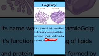 Golgi Apparatus  Golgi body  cell  cell theory  short video [upl. by Stoecker116]