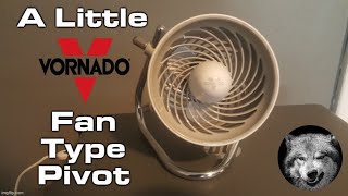 Eskies Vlog 080423 A Vornado Pivot Fan [upl. by Yanej621]