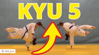 Judo  YELLOW Belt [upl. by Kotz711]