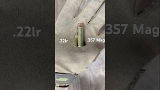 22lr vs 357 Mag Size Comparison [upl. by Spiegleman779]